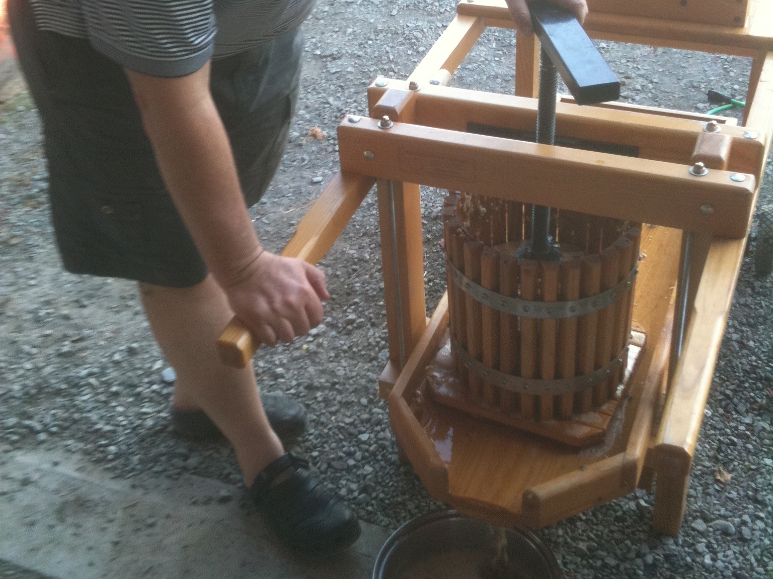 Apple&nbsp;Cider