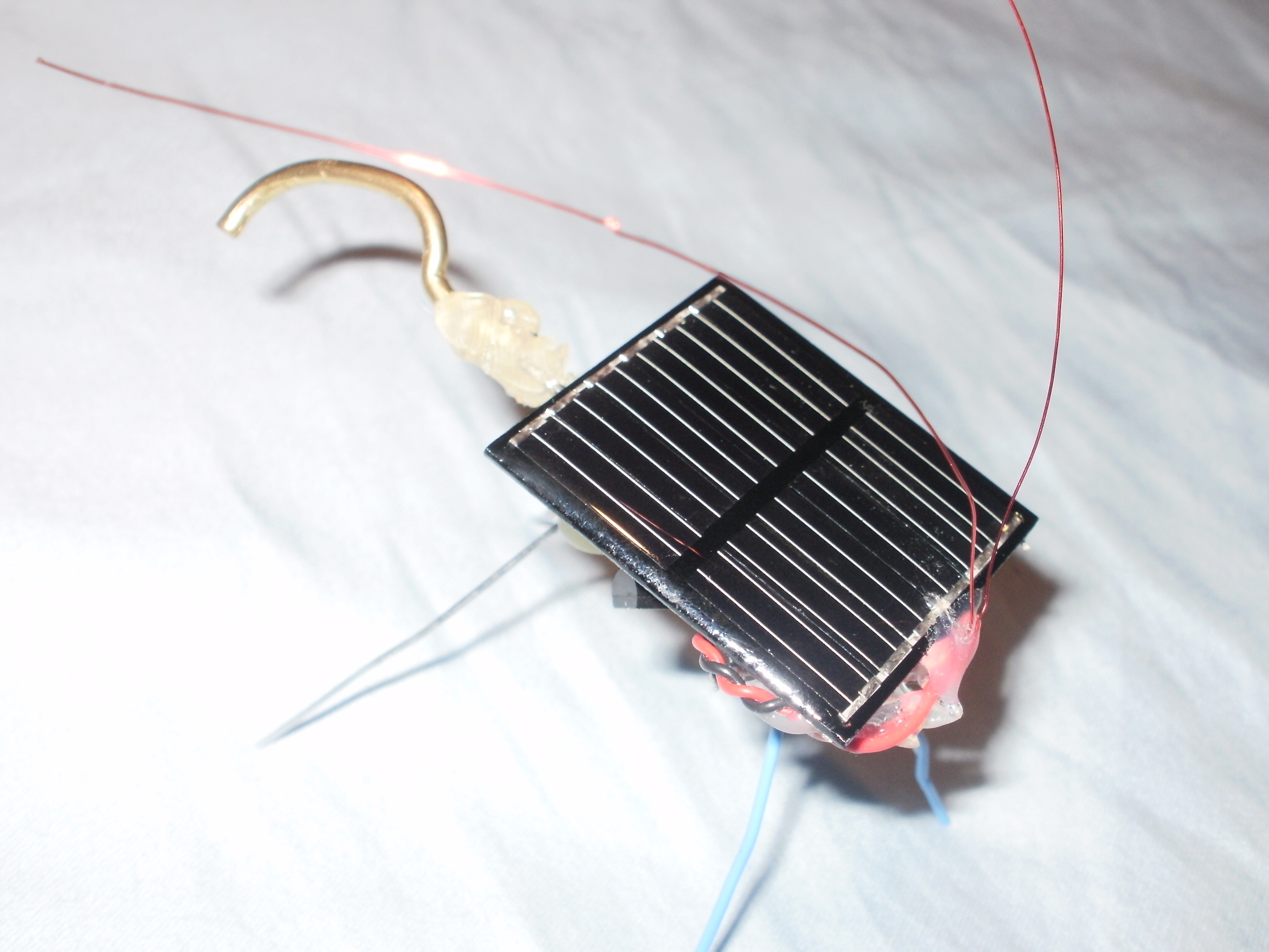 Solar Buzzing&nbsp;Beetle