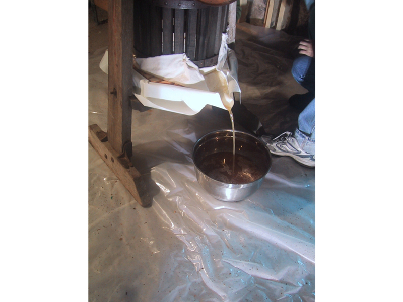 New Project: Hard Cider