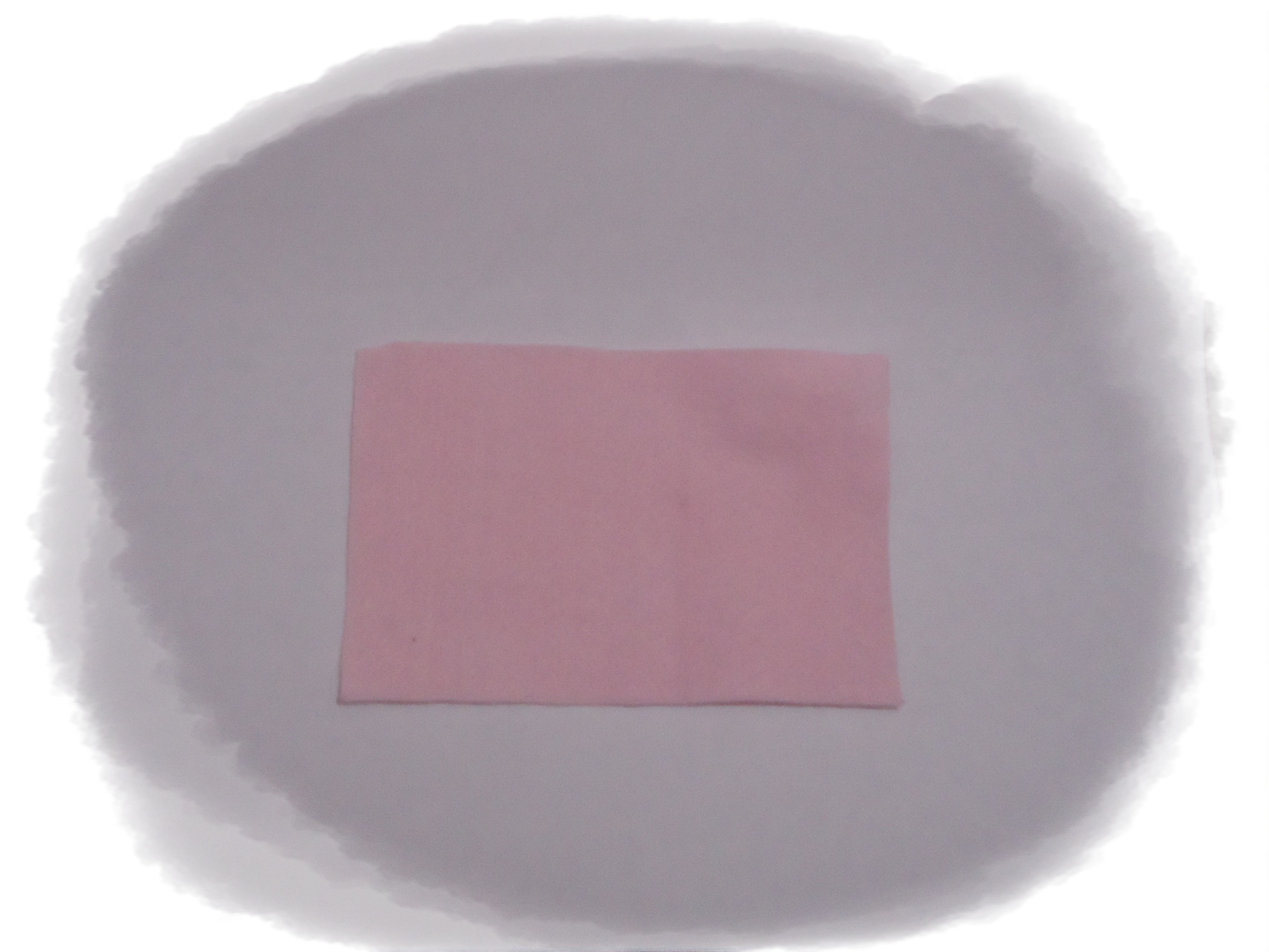Felt&nbsp;Flower
