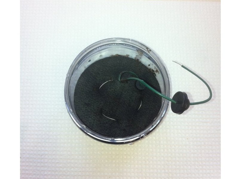 Bacteria Battery