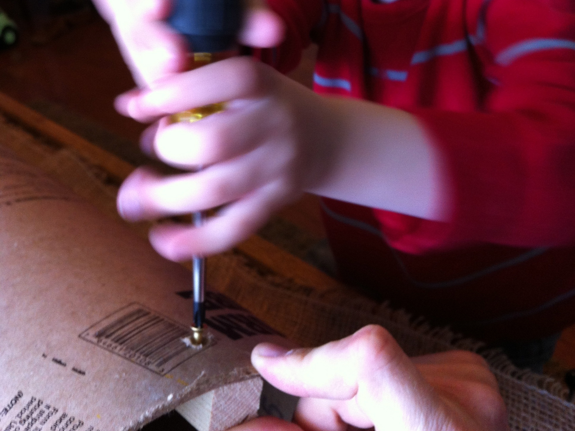Making A Nut Tree For Your Stuffed&nbsp;Squirrel
