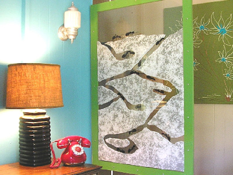 Ant Farm Room&nbsp;Divider