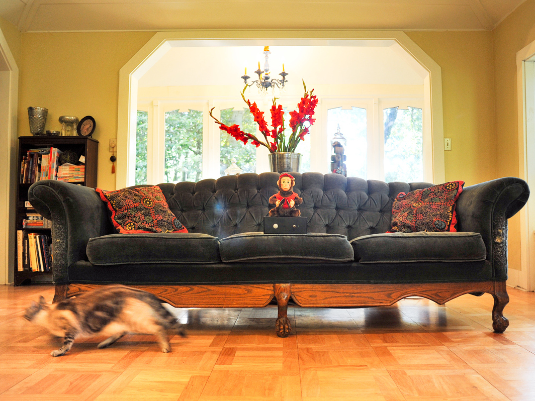 Monkey Couch&nbsp;Guardian