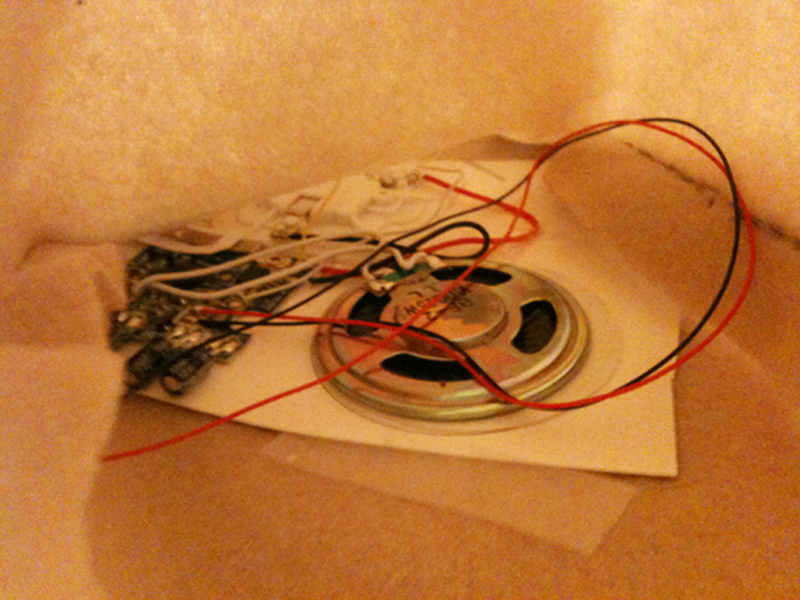 New Project: Speaking Hand Puppet