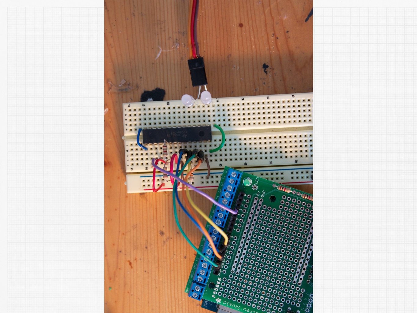 New Project: RoboBrrd