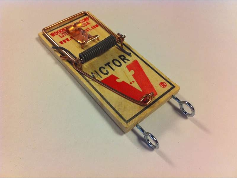 New Project: Mousetrap-Powered Car