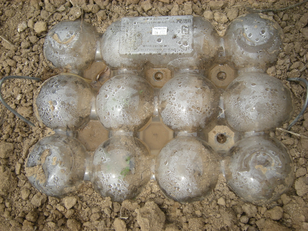 New Project: Cheap & Easy Mini-Greenhouses