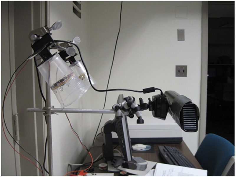 Using a Kinect as an Infrared&nbsp;Camera