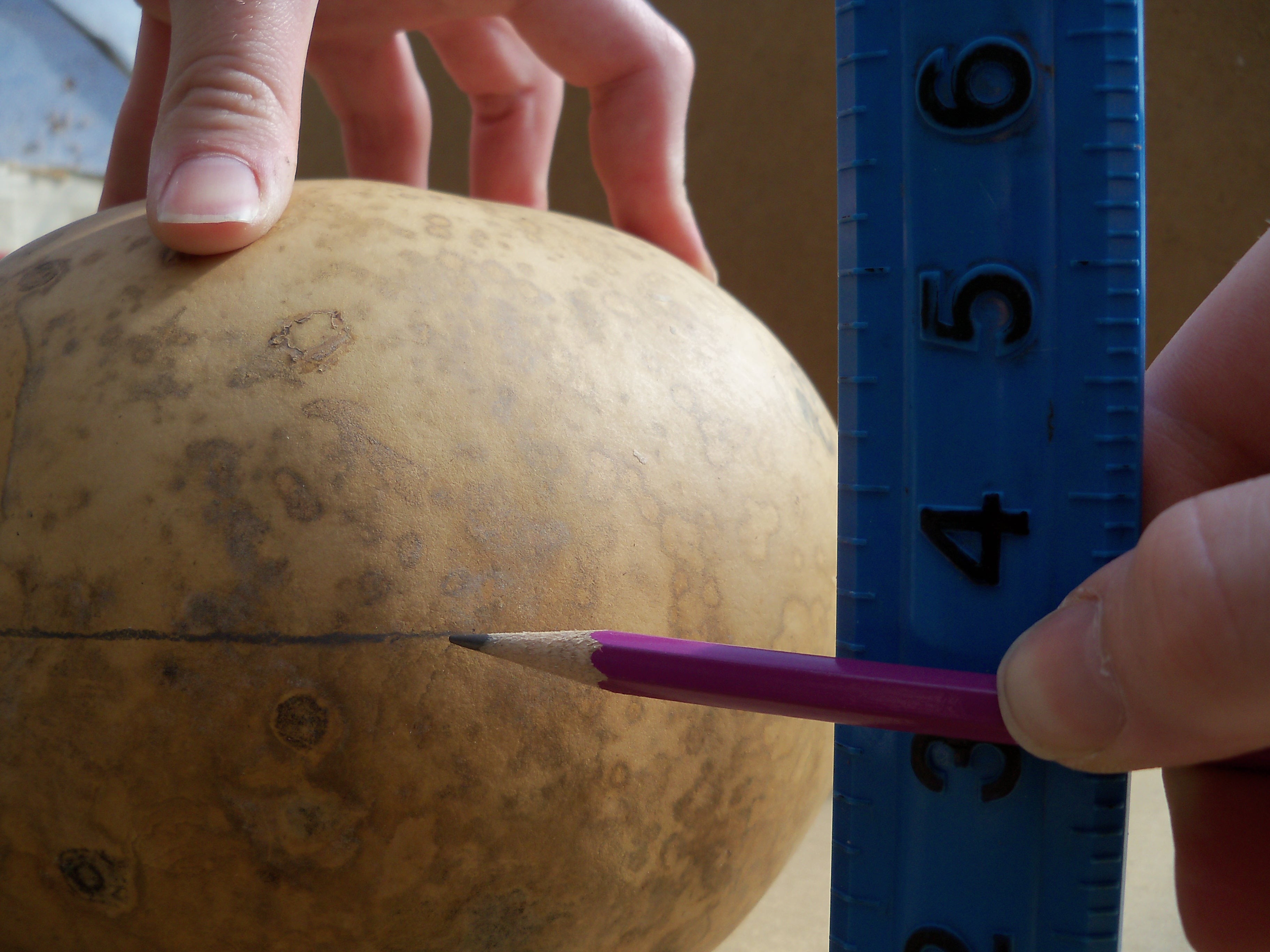 Gourd&nbsp;Clock