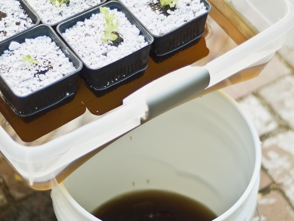 Hydroponic Veggie&nbsp;Garden
