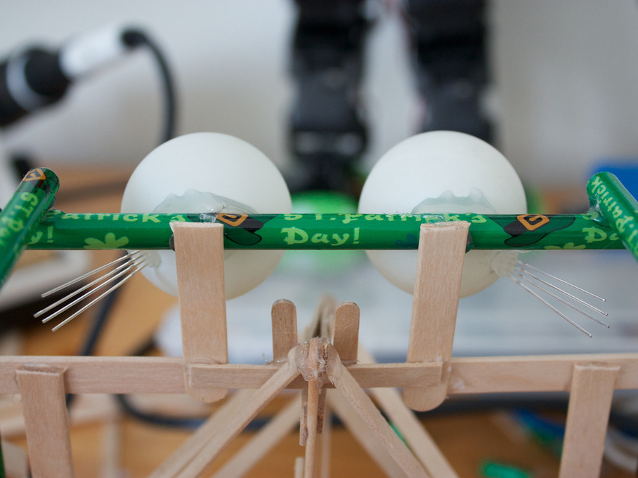 New Project: RoboBrrd