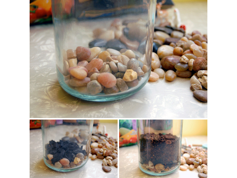 Mason Jar&nbsp;Terrarium