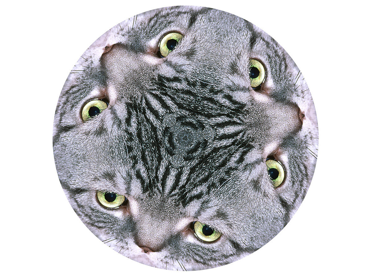 Kitty&nbsp;Kaleidoscope