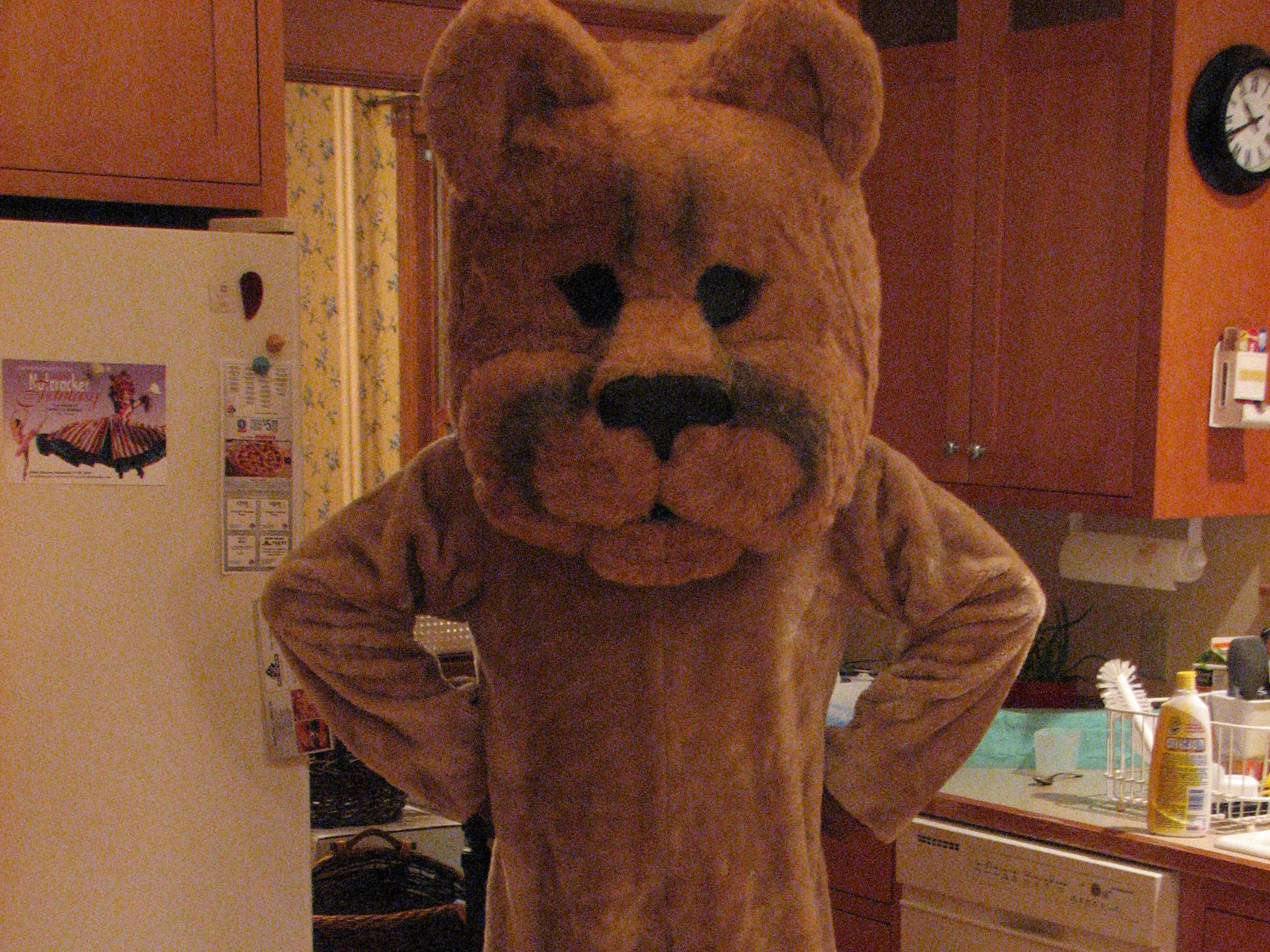 How to Make a School&nbsp;Mascot