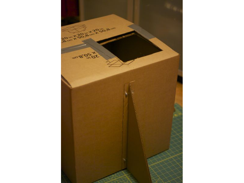 Cardboard Cat Rocket
