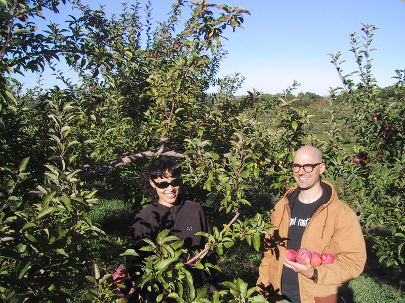 New Project: Hard Cider