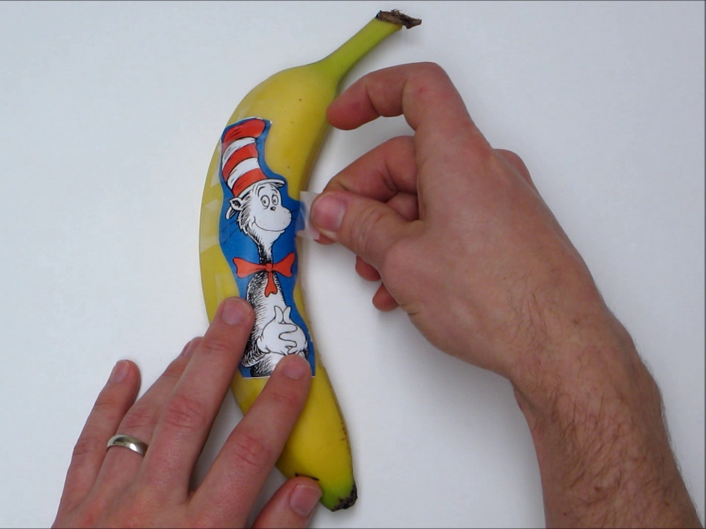 Banana Oxidation&nbsp;Art