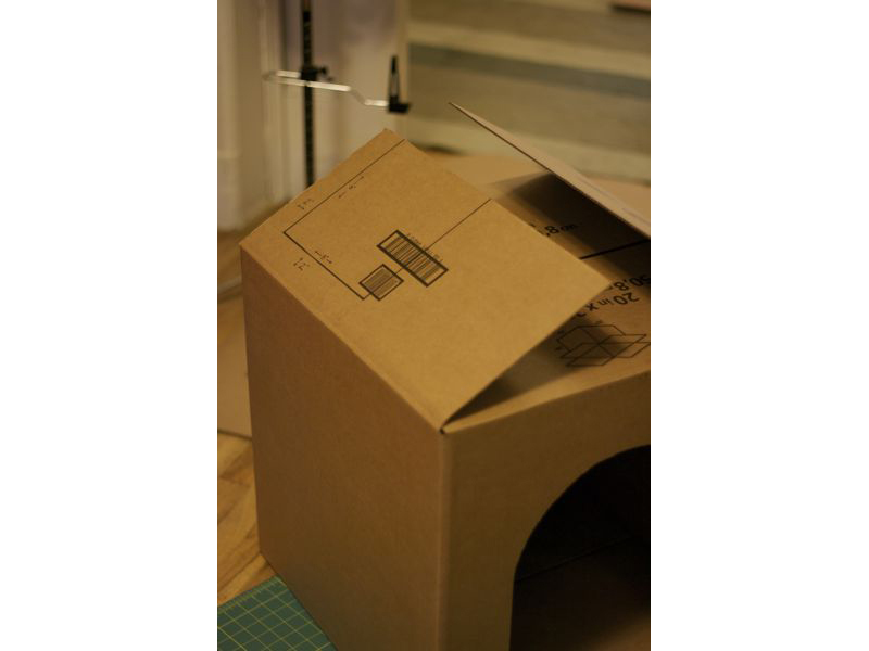 Cardboard Cat Rocket
