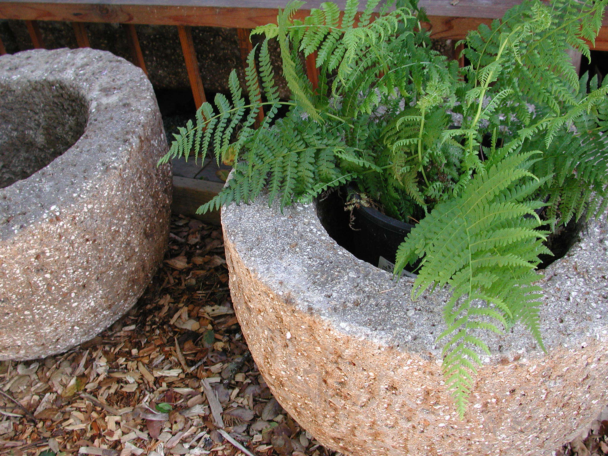 Hypertufa&nbsp;Planter