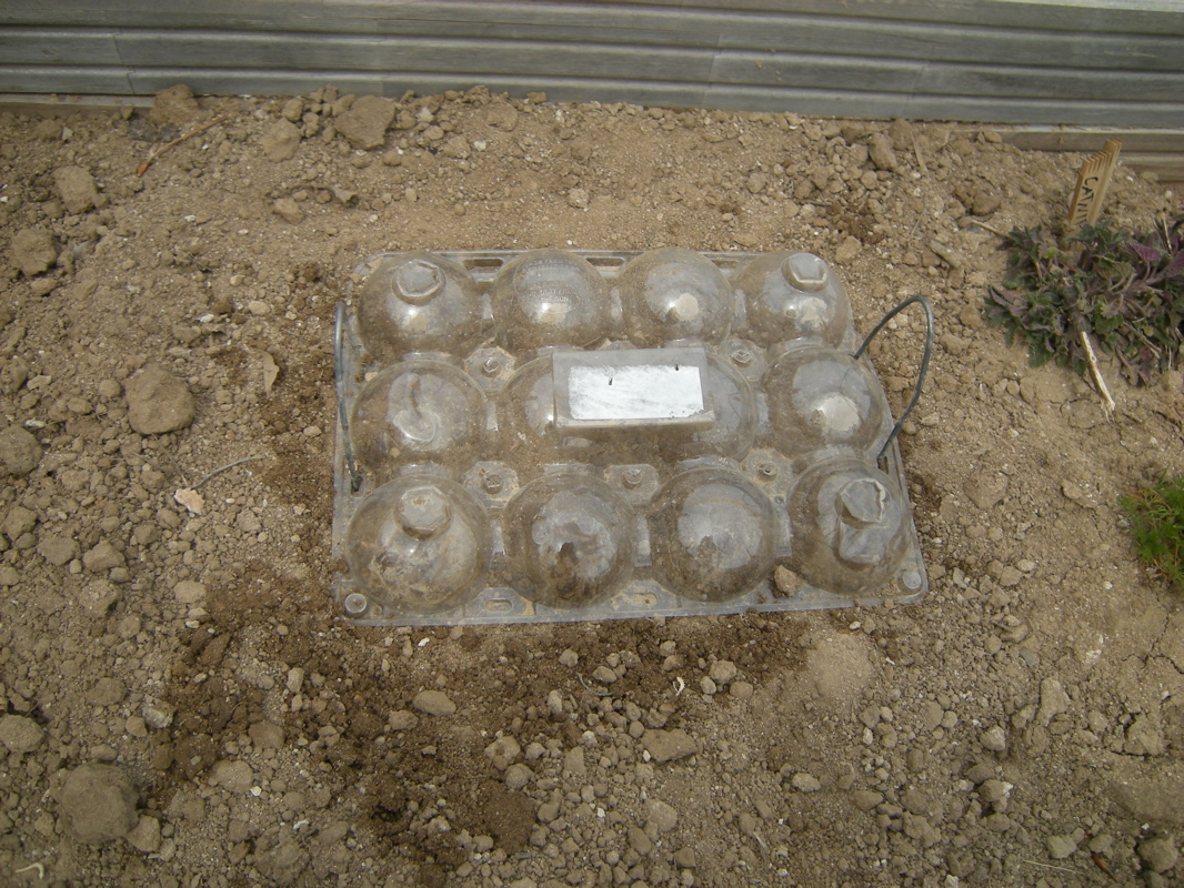New Project: Cheap & Easy Mini-Greenhouses
