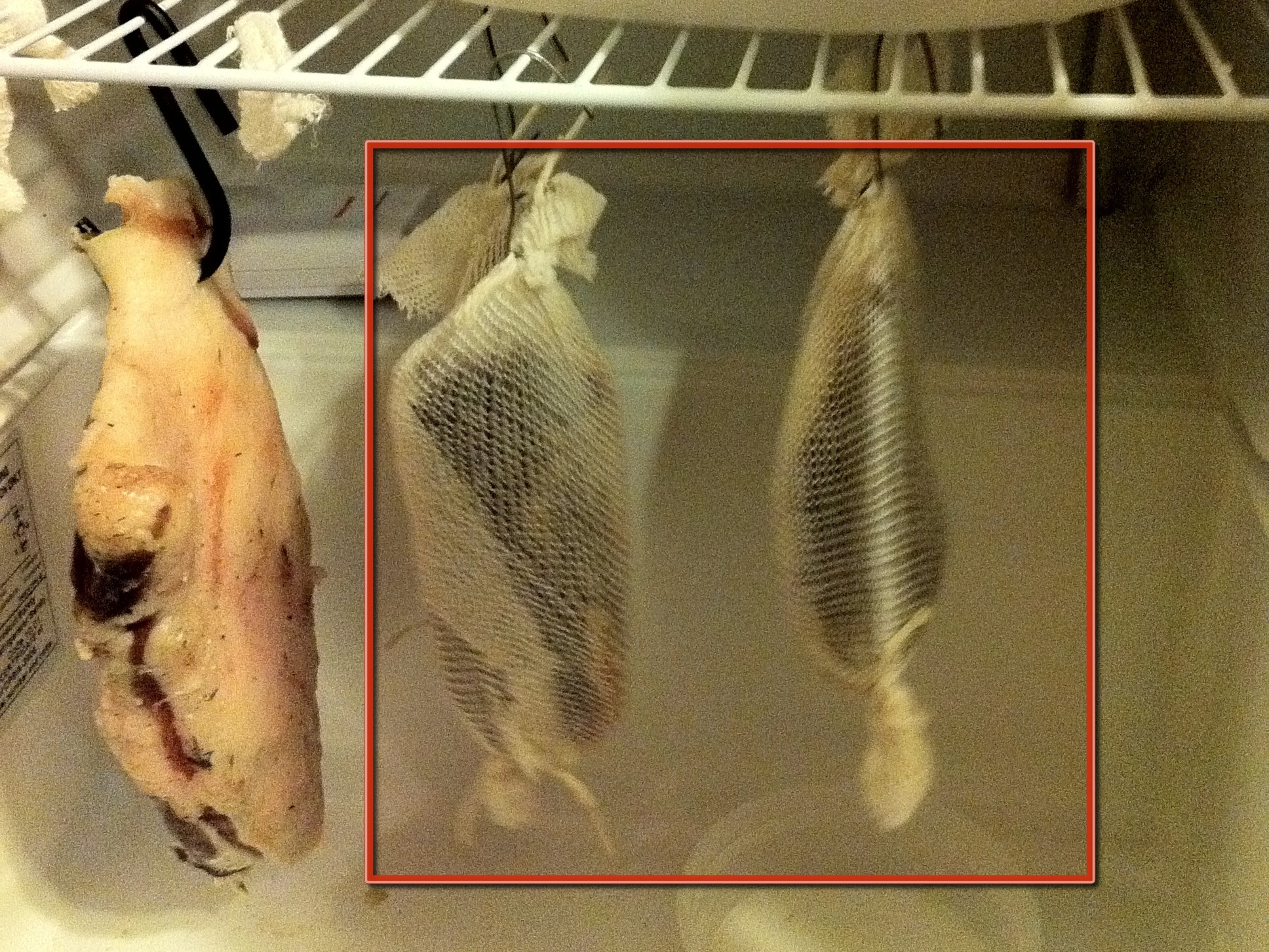 Duck Breast&nbsp;Prosciutto