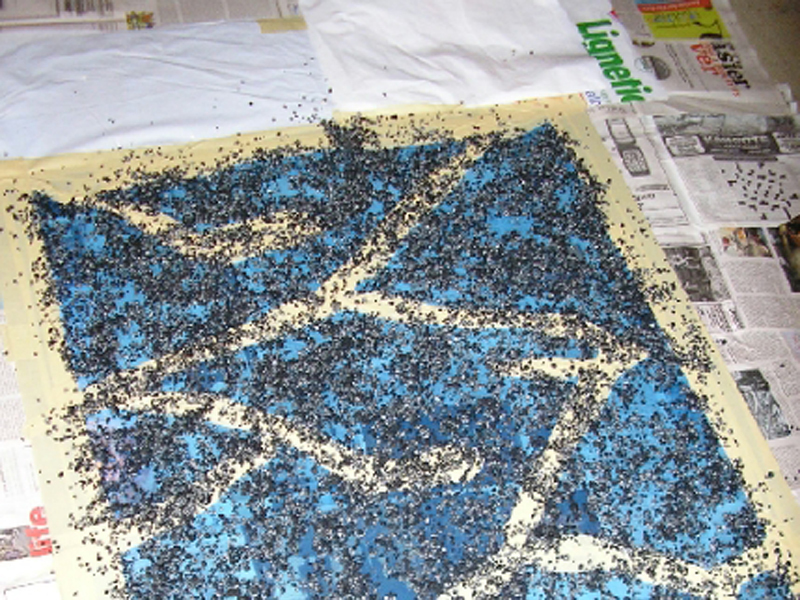 Ant Farm Room&nbsp;Divider
