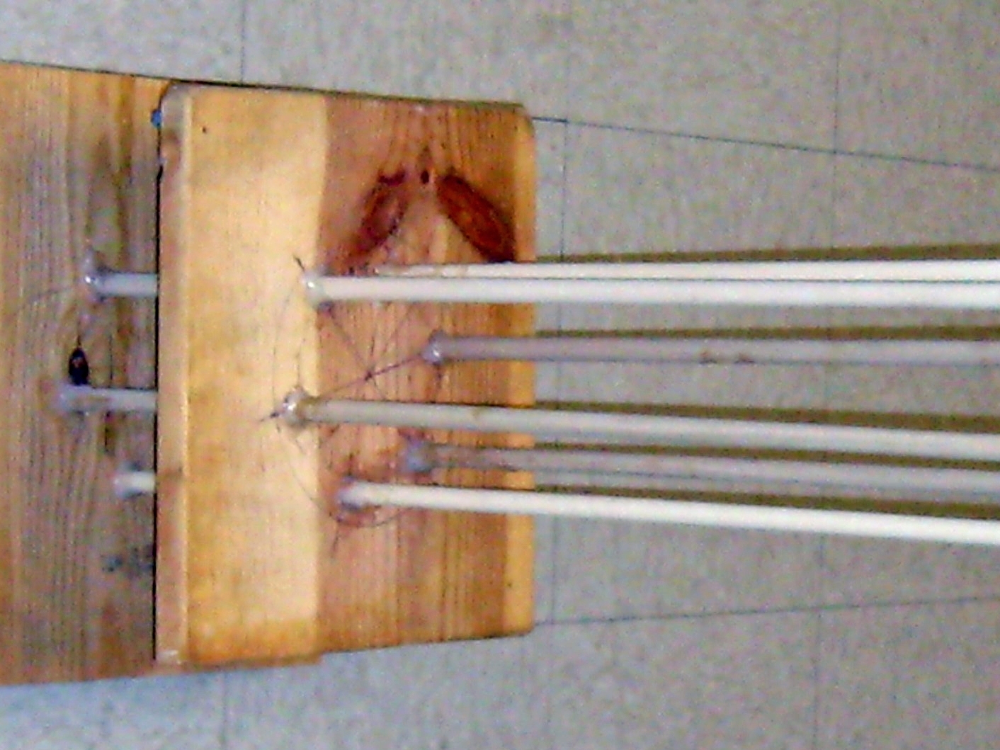 Hydrogen-Oxygen Bottle&nbsp;Rocket