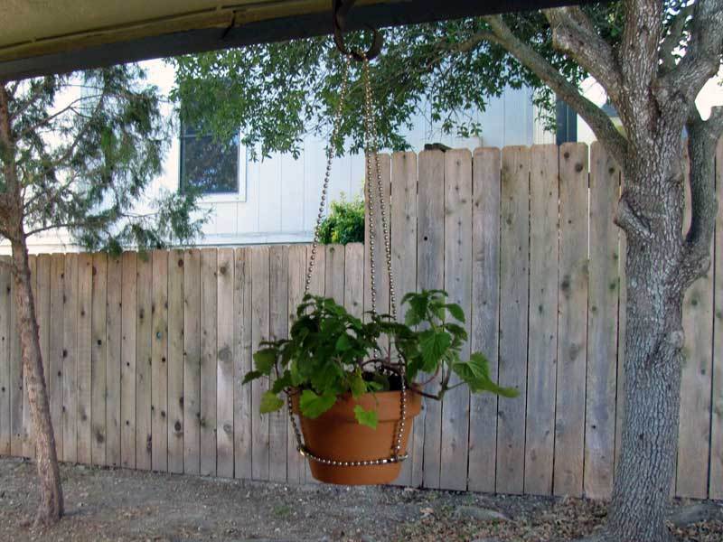 Ball-Chain Plant Hangers