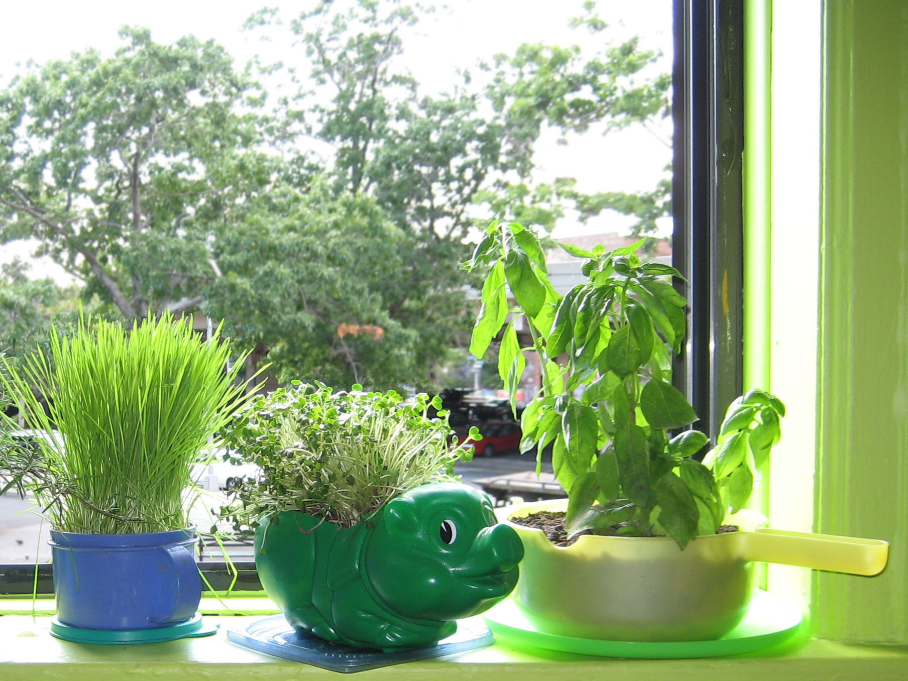 New Project: Plastic Herb Planters