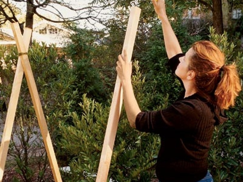 Garden&nbsp;Trellis