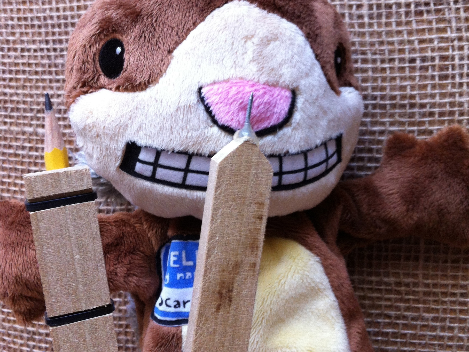 Making A Nut Tree For Your Stuffed&nbsp;Squirrel