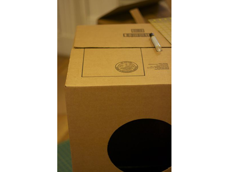 Cardboard Cat Rocket