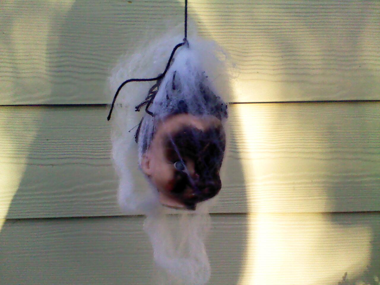New Project: WebHeads! Create Spiderweb-Trapped Doll Heads for Halloween