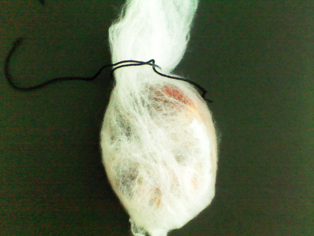 New Project: WebHeads! Create Spiderweb-Trapped Doll Heads for Halloween