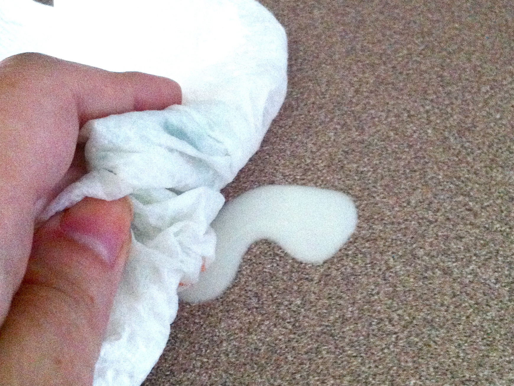 Dr. Seuss Oobleck Experiment: Is it solid or liquid? Or&nbsp;BOTH?