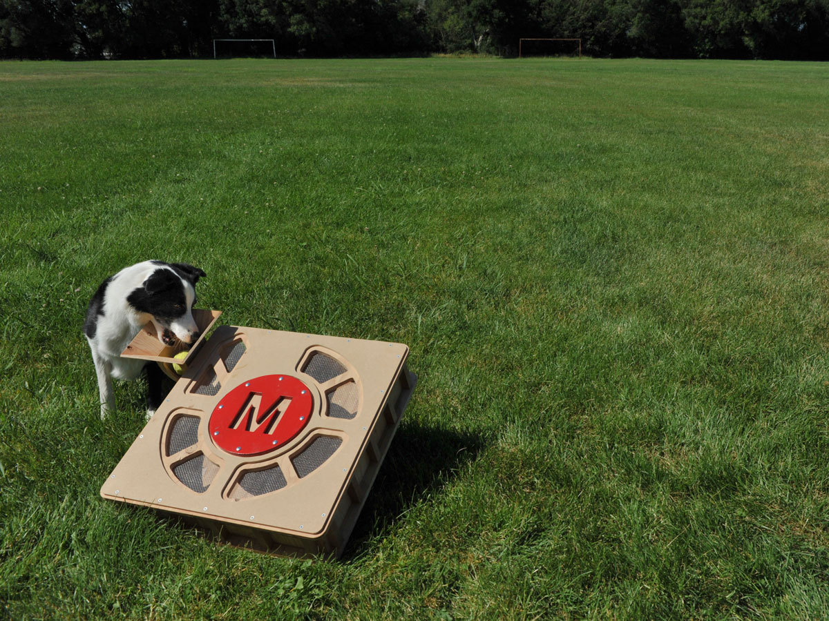 Fetch-O-Matic