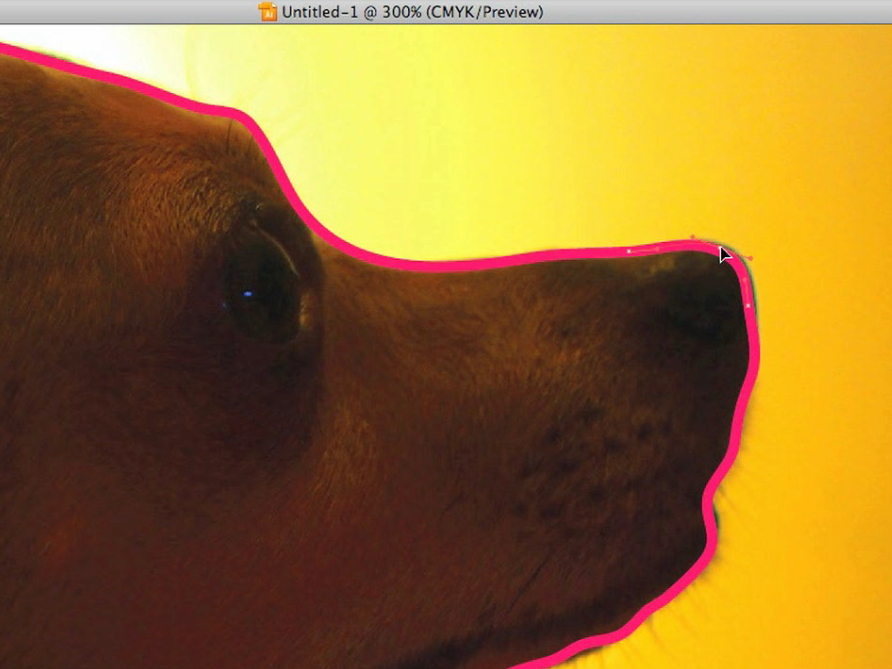 Silhouette Dog Portrait Using&nbsp;Illustrator