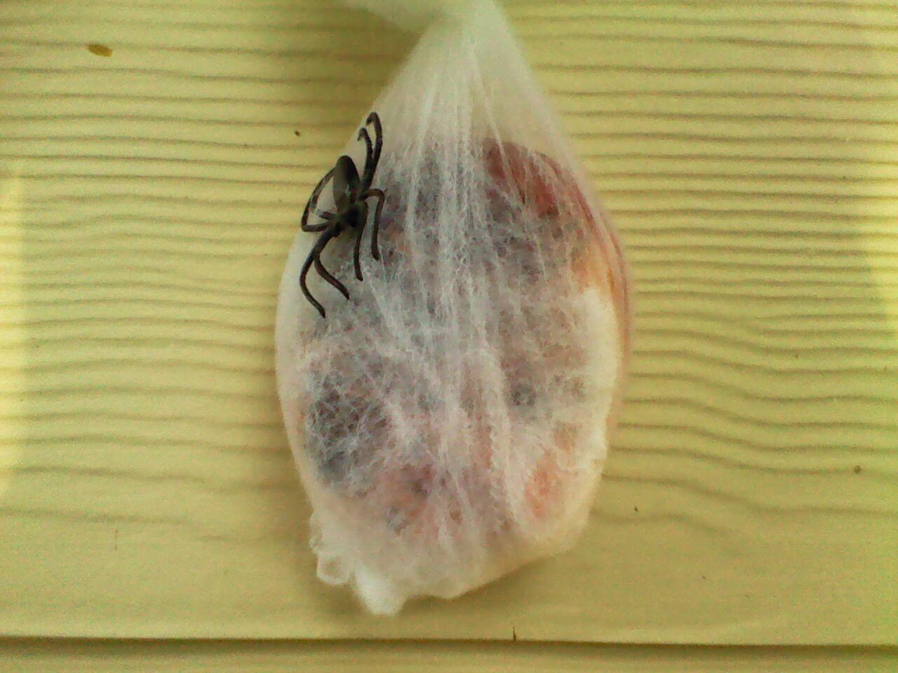 New Project: WebHeads! Create Spiderweb-Trapped Doll Heads for Halloween