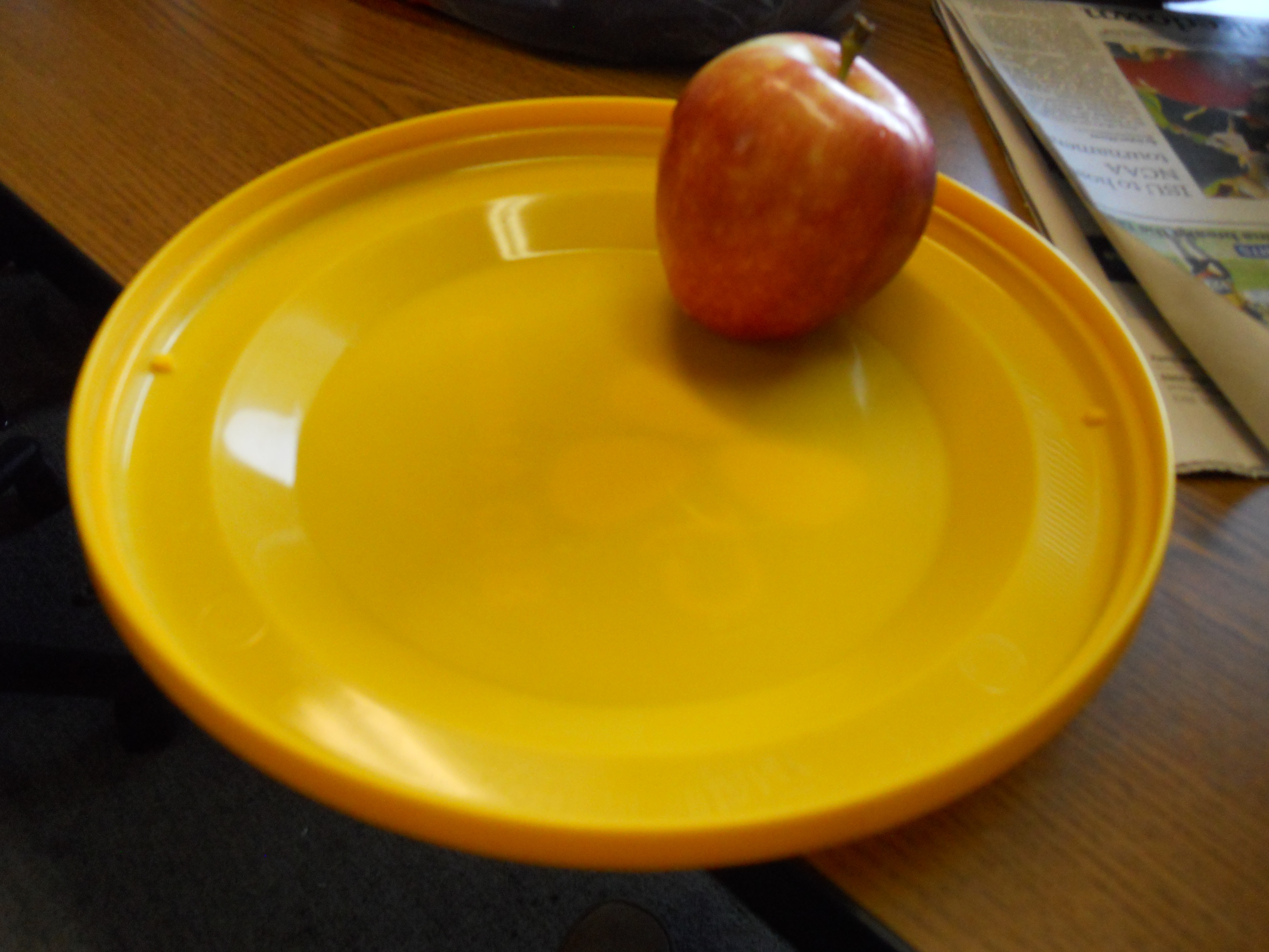 Frisbee&nbsp;Plate
