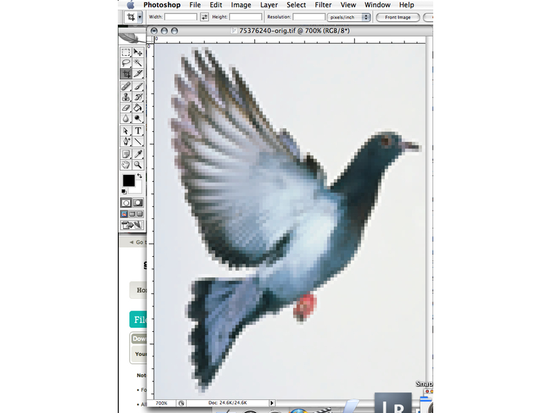 New Project: Custom Cross-Stitch Patterns