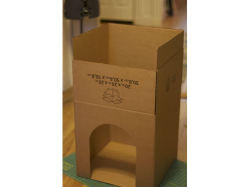 Cardboard Cat Rocket