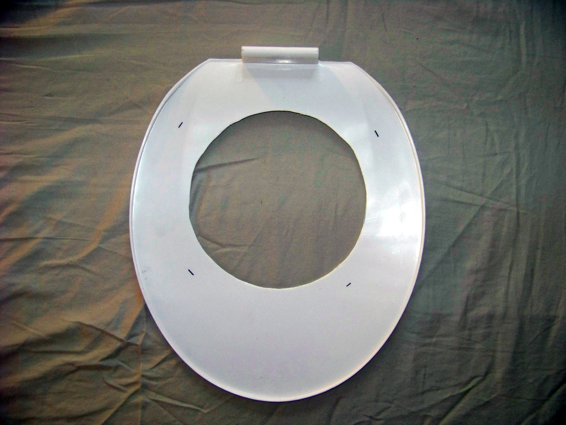 Civilized Cat Toilet Training