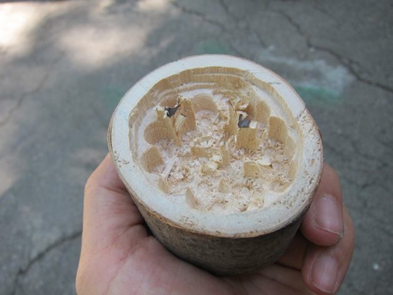 Wooden Salt&nbsp;Cellar