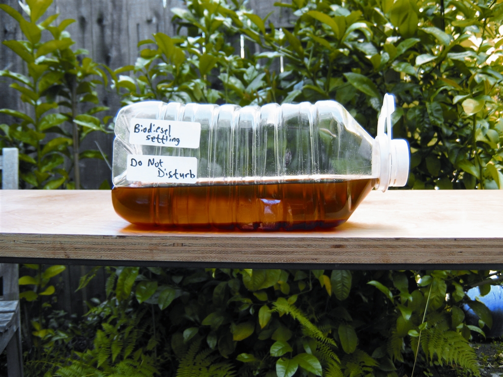 Backyard Biodiesel
