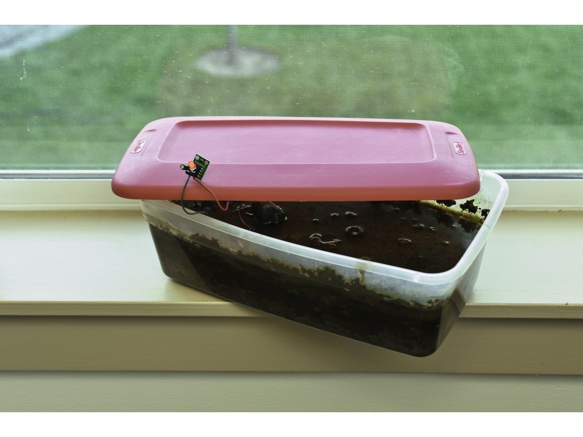 Bacteria Battery