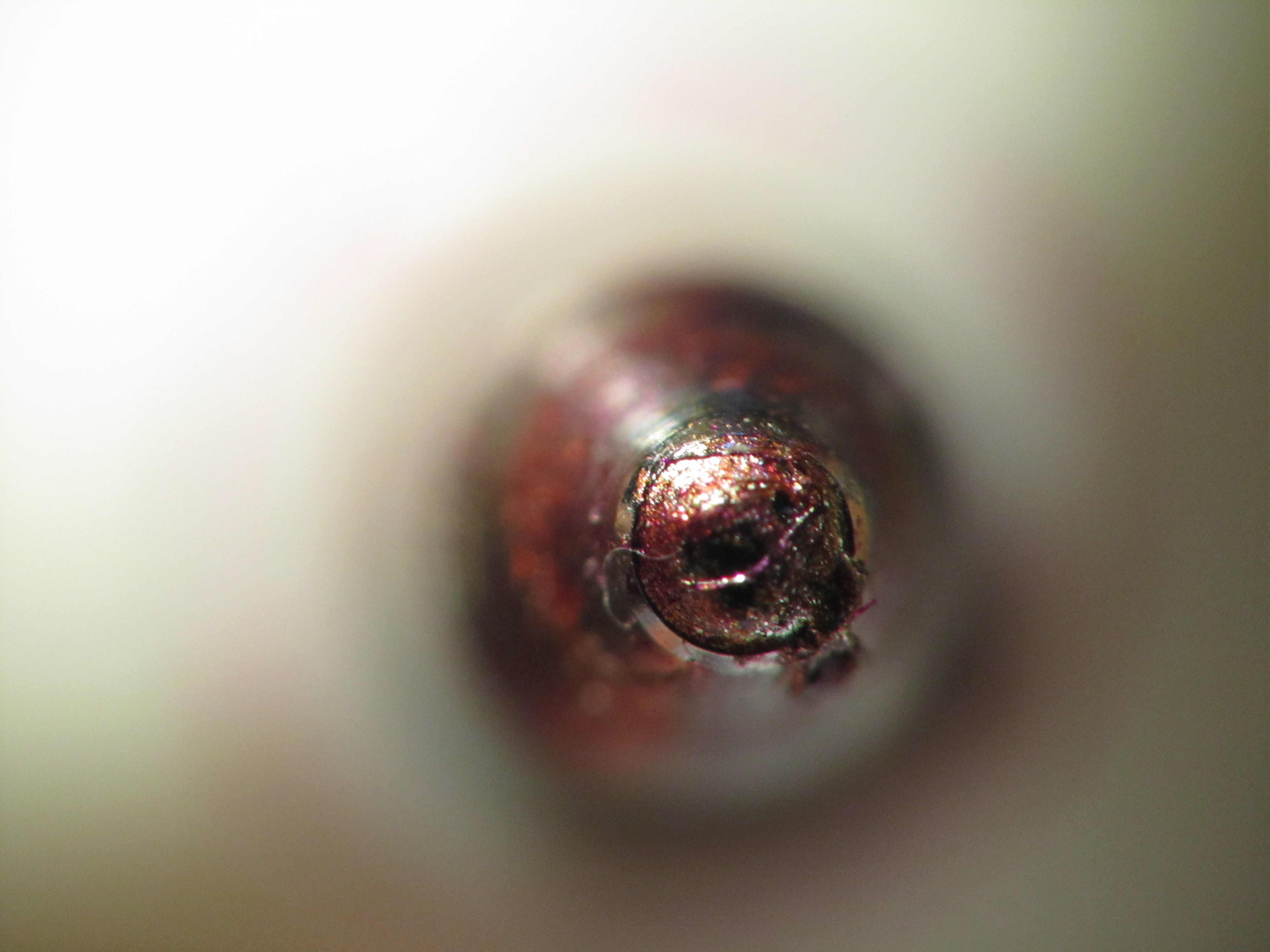 DIY Macro Photography