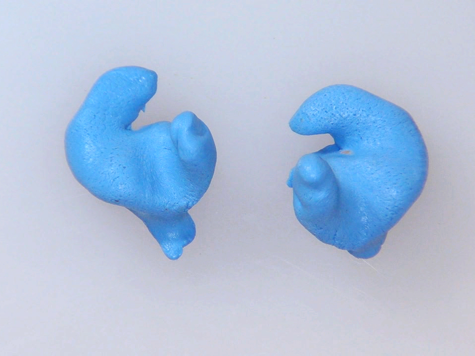 Custom Fit&nbsp;Earbuds