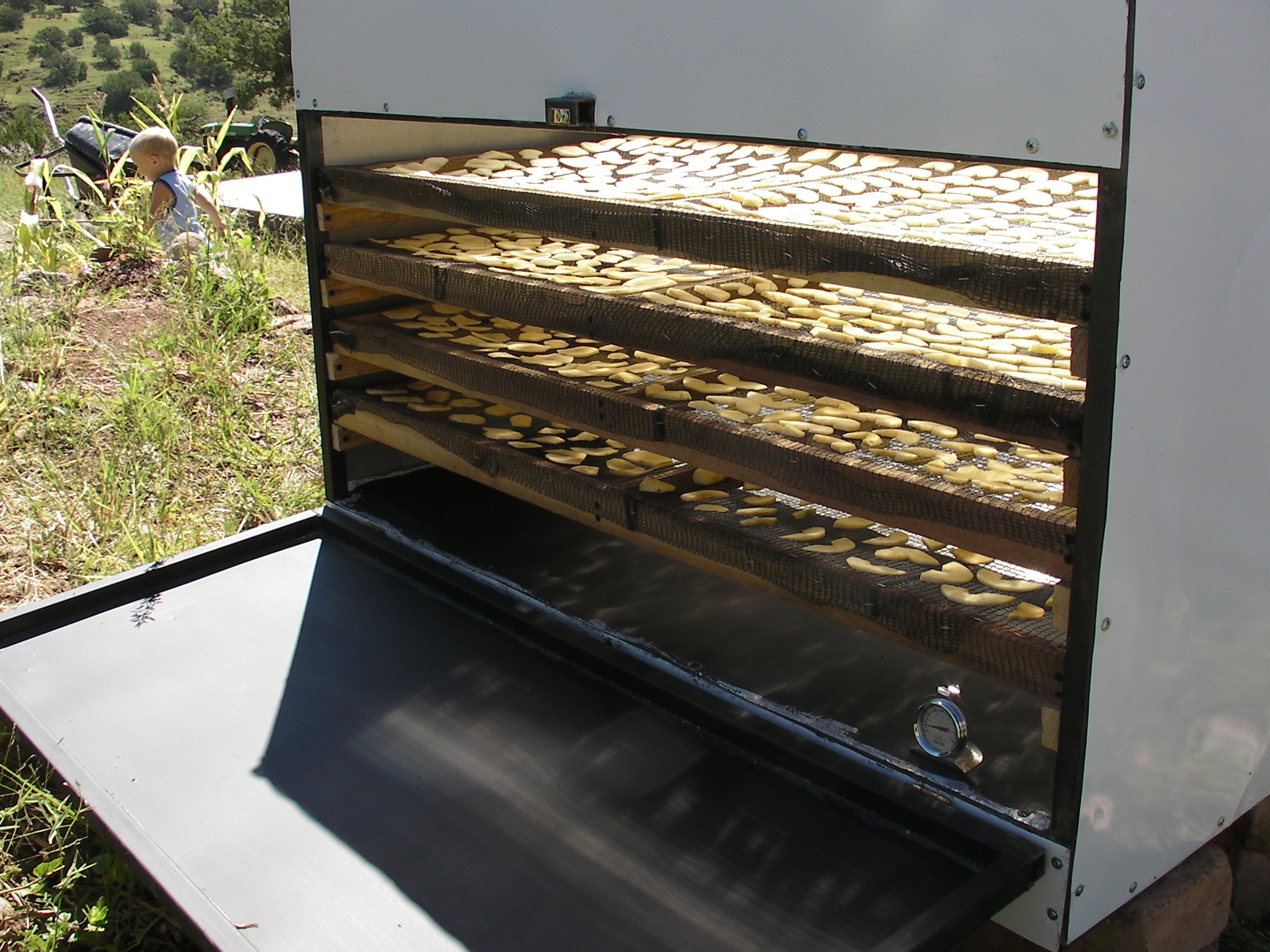 Solar Food&nbsp;Dryer