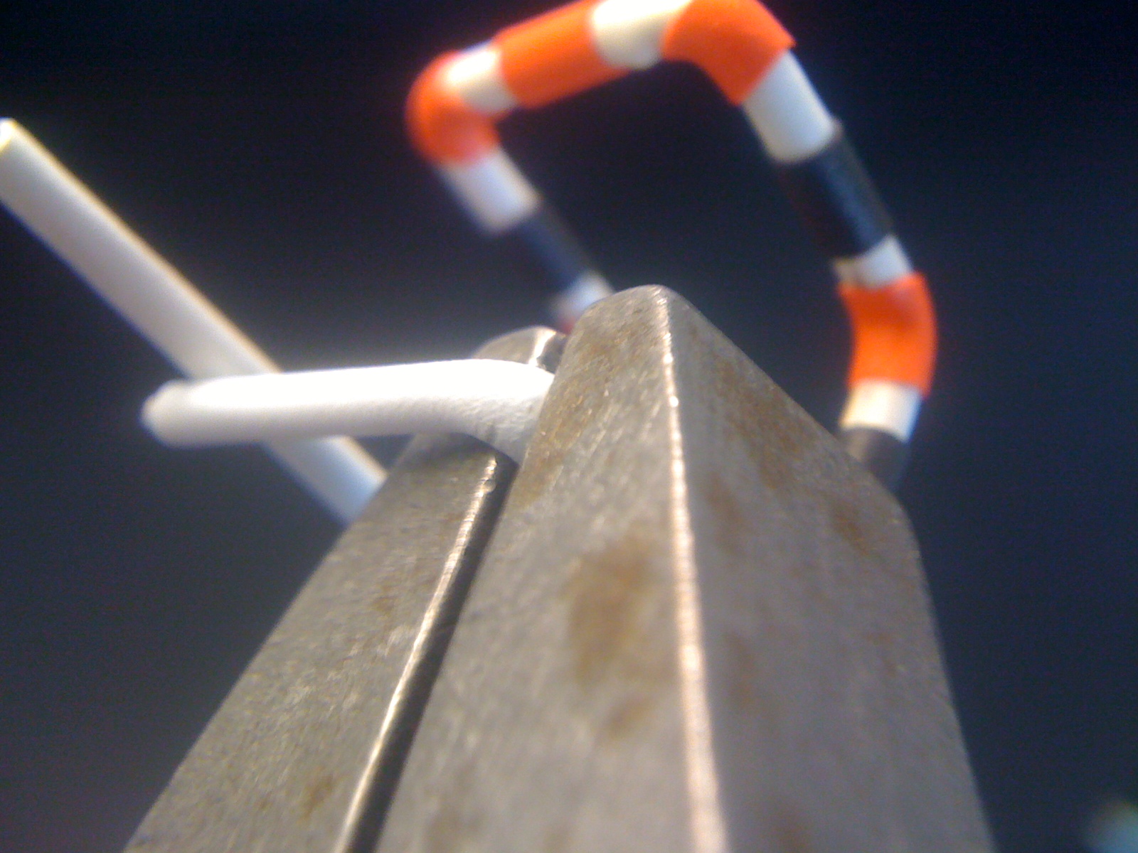 iPhone Macro&nbsp;Lens